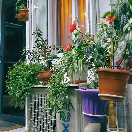 Apartment On Freedom Square Diuma Street Tbilisi Exterior foto